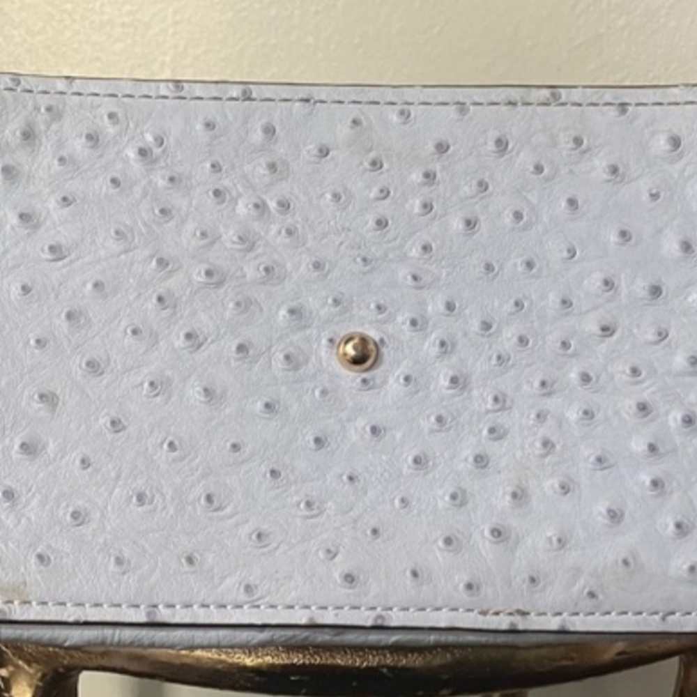 Vintage Dooney&Bourke Light Blue/Gray Embossed Ostrich Small FLYNN Shoulder Bag - Picture 3 of 12